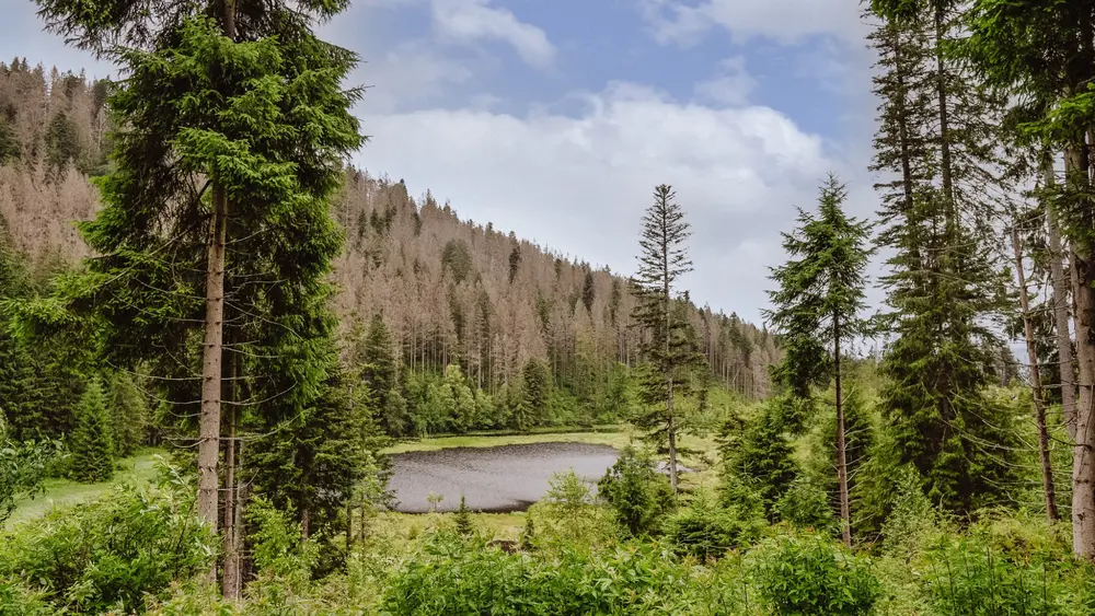 Huzenbacher SeeHuzenbacher See