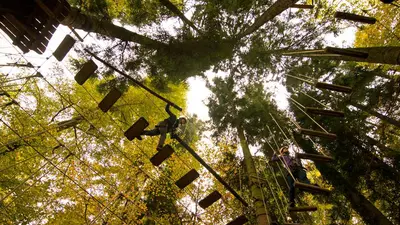 Kletterwald Prien am Chiemsee