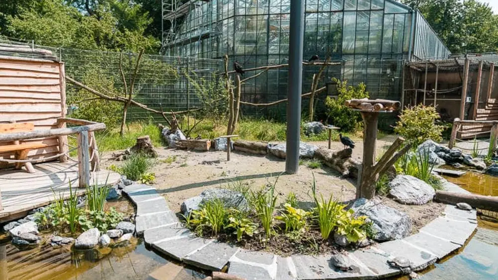 Außenanlage im Tiergarten Ulm