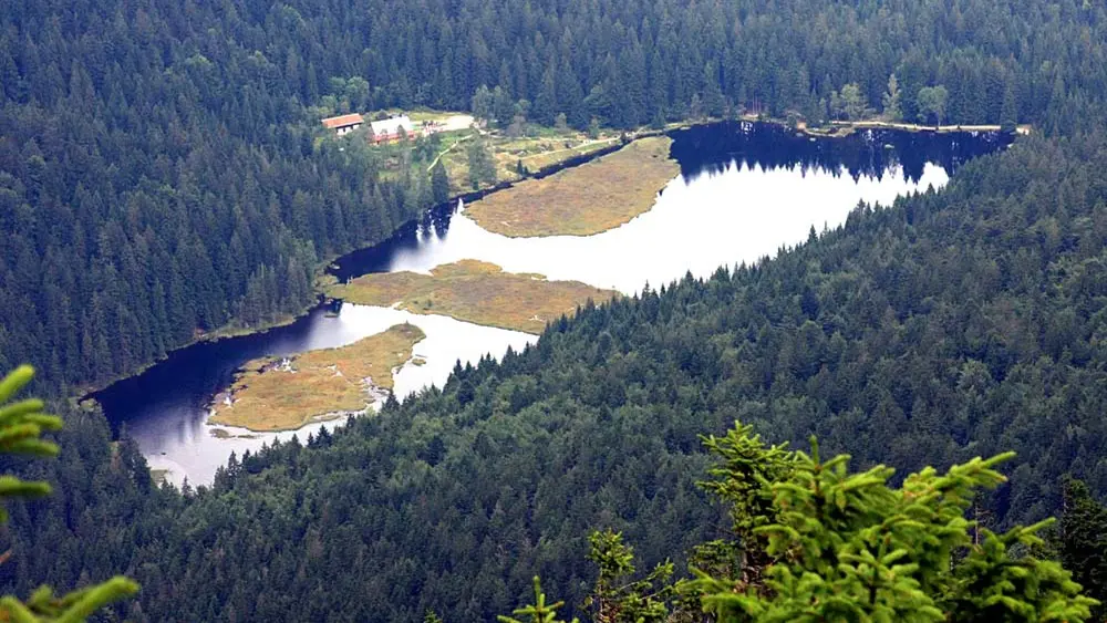 Luftaufnahme des Kleinen Arbersees mit den schwimmenden Inseln