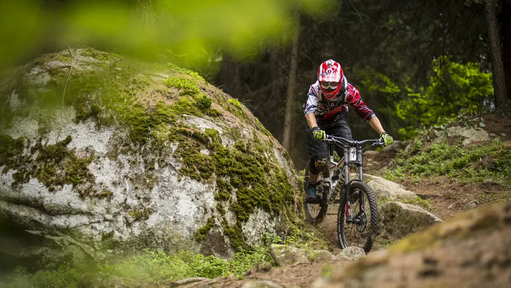 Mountainbiker beim Downhill im Wald vom Val di Sole