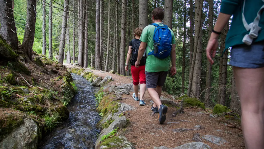 Wanderer auf dem Suonenwanderweg in Nendaz