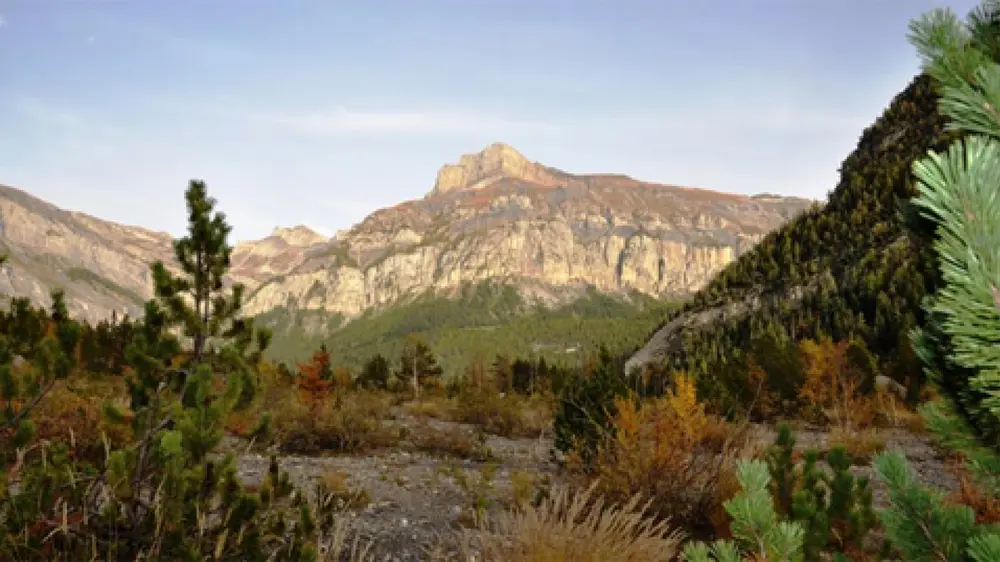 Derborence - Das Tal der Steine