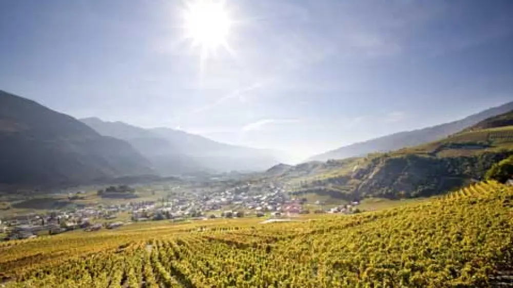Salgesch / Sierre: Reb- und Weinmuseum mit Lehrpfad