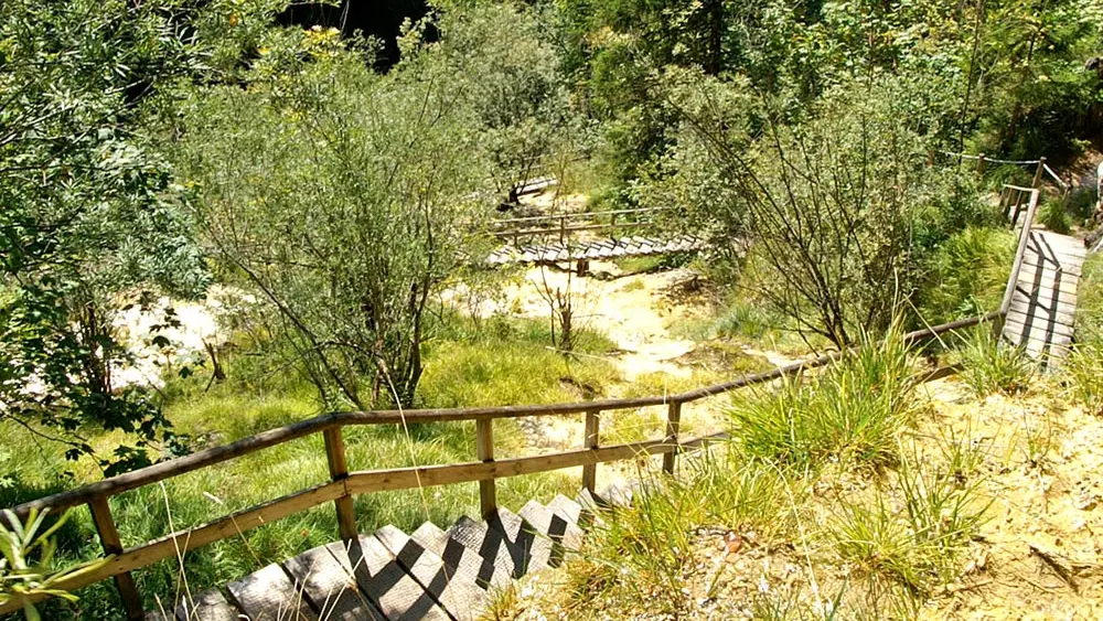 Treppen auf dem Quelltuffweg bei Lingenau