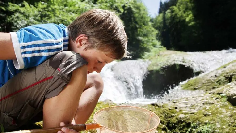 Ein Kind entdeckt mittels eines Keschers die Wasserfauna des Eistobels
