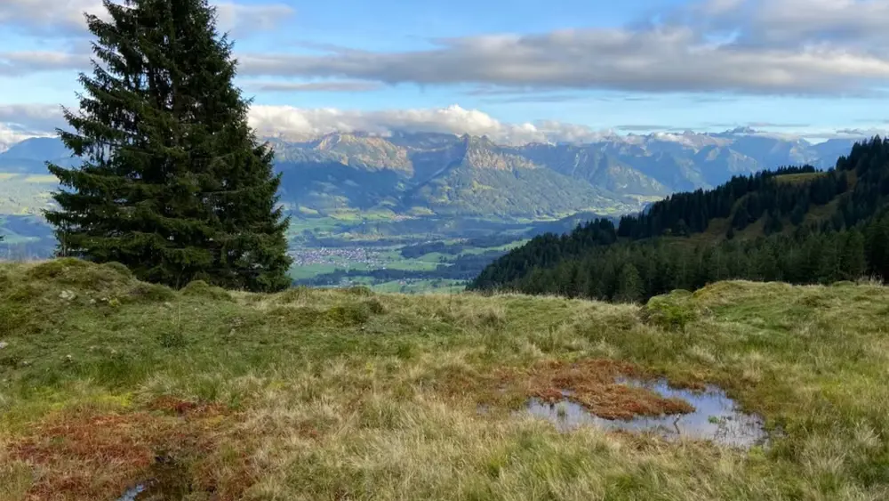 Ausblick auf der Hörner Panorama Tour