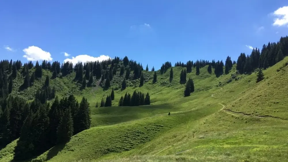 Rundwanderung ab Bolsterlang oder Ofterschwang