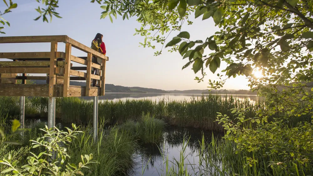 Blick auf den Rottachsee
