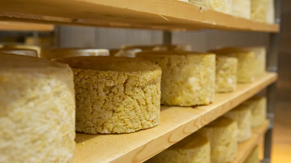 Käse aus der Erlebnissennerei Zillertal Mayrhofen