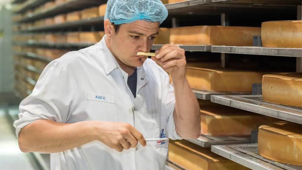 Käseprüfung