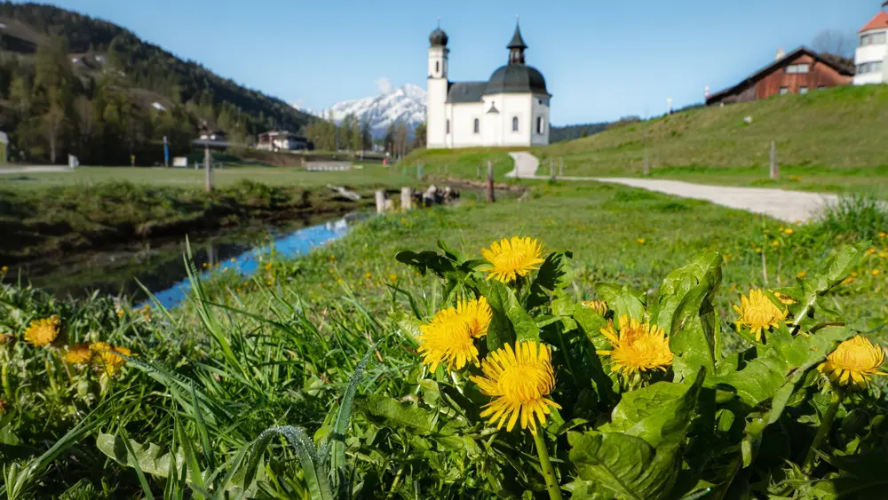 Blick auf das Seekirchl im Frühling