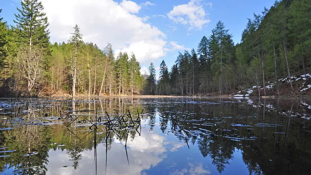 Alter See bei Tristach