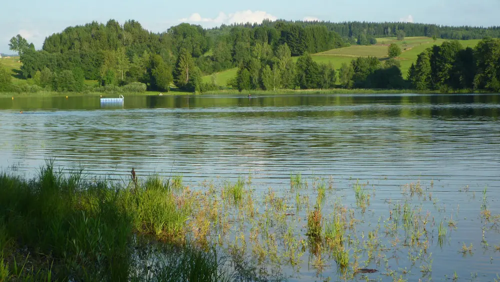 Blick auf das Naturschutzgebiet Badsee bei Isny im Allgäu