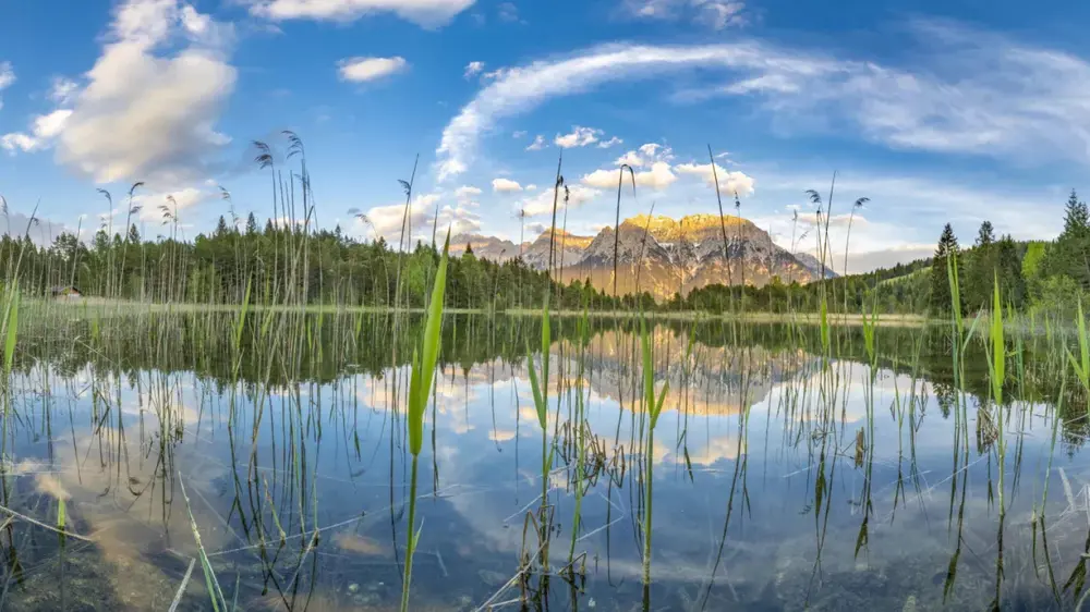Spiegelnde Wasseroberfläche des Luttensees bei Mittenwald