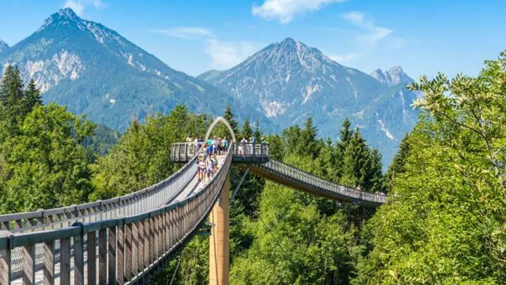 Der Baumkronenweg im Walderlebniszentrum Ziegelwies