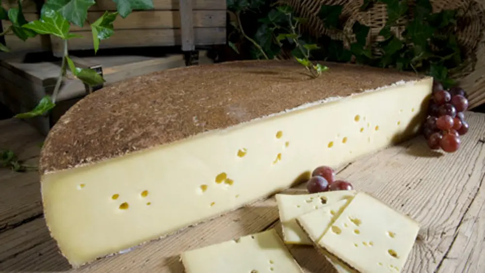 Angeschnittener Käseleib im Kaesehaus-Andelsbuch