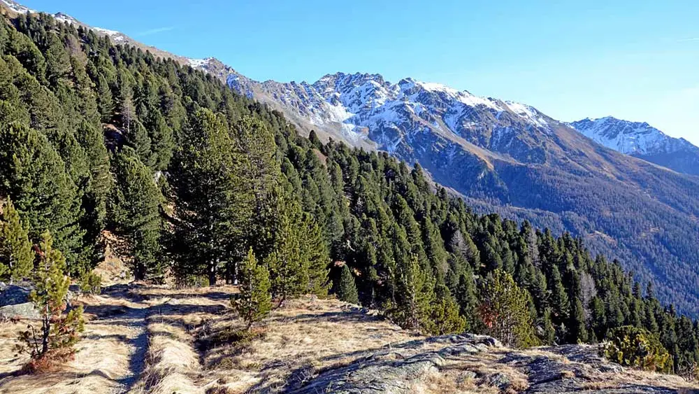 Berge im Nationalpark Stilfserjoch