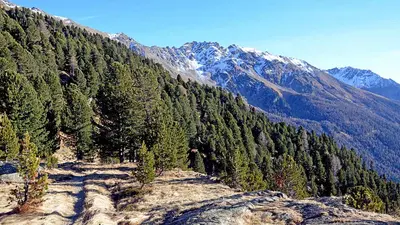 Archaikweg im Vinschgau