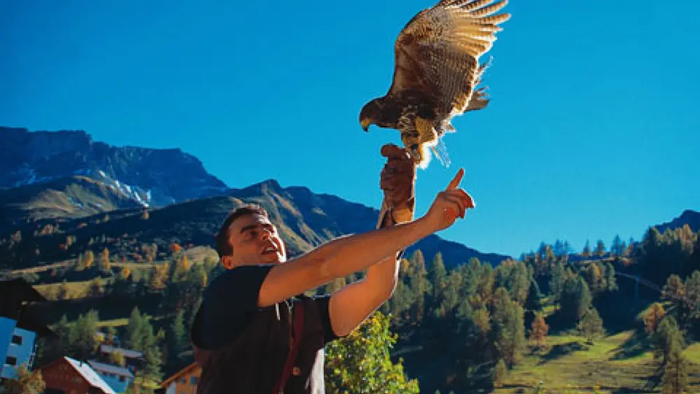 Falkner bei der Greifvogel-Wanderungen der Falknerei Galina in Triesenberg