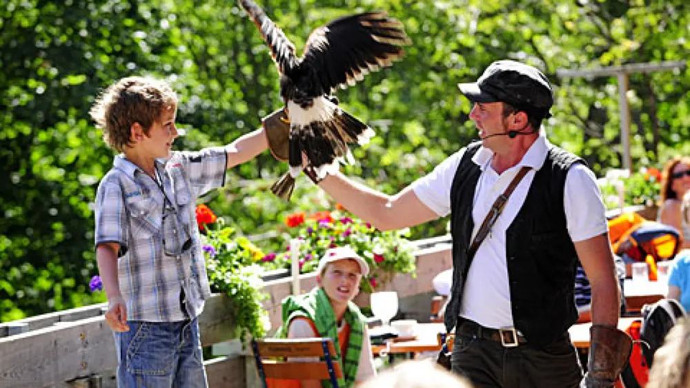 Junge und Falkner bei der Greifvogel-Flugshow der Falknerei Galina in Triesenberg