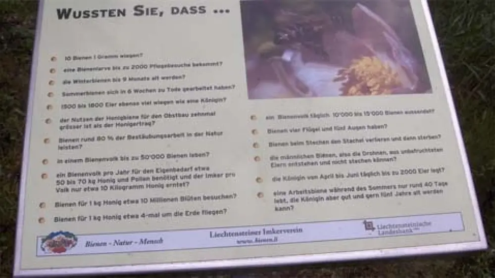 Informationstafel auf dem Bienenlehrpfad Vaduz