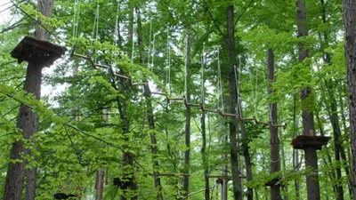 Waldseilpark Taborhöhe