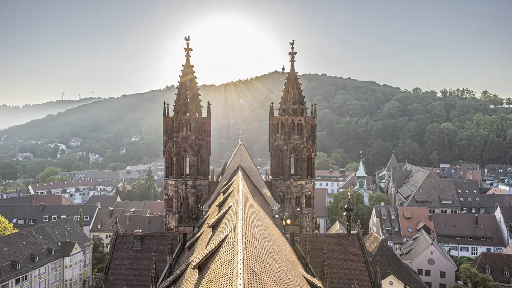 Freiburger Münster