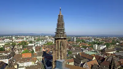 Freiburger Münster
