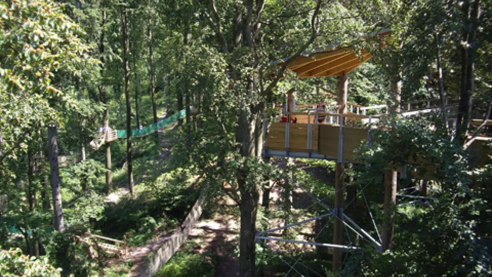 In 23 Meter Höhe: Der Baumkronenweg Waldkirch