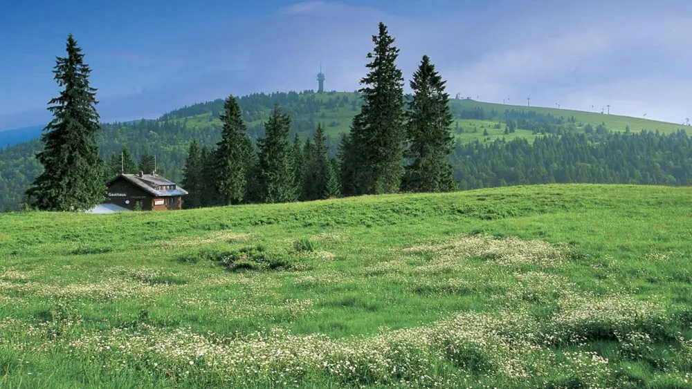 Blick auf den Feldberg