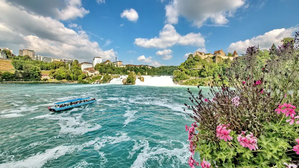 Rheinfall mit Blumen