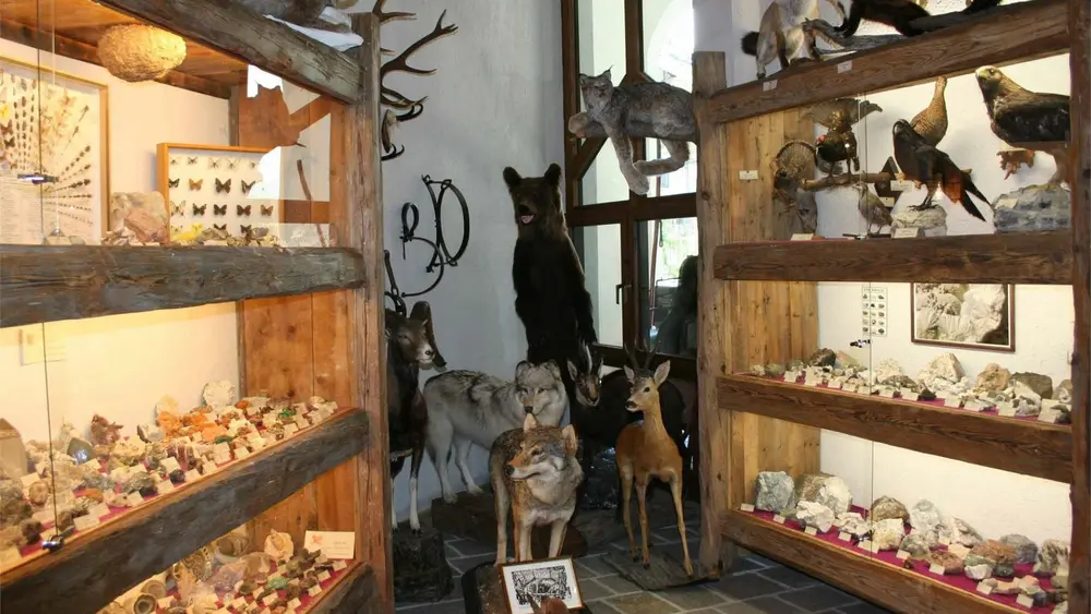 Impressionen aus dem Heimatmuseum Steinegg