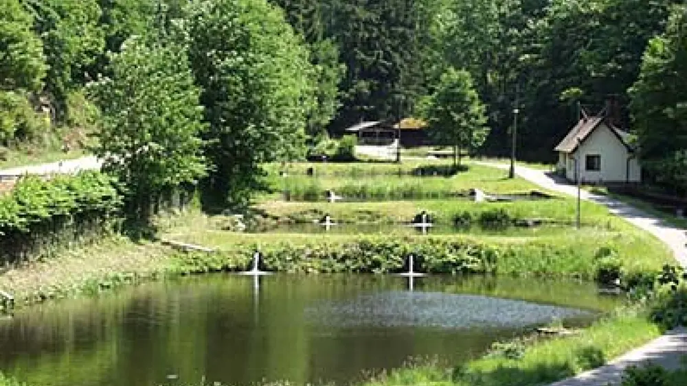 Teich der Forellenzucht Baden-Baden
