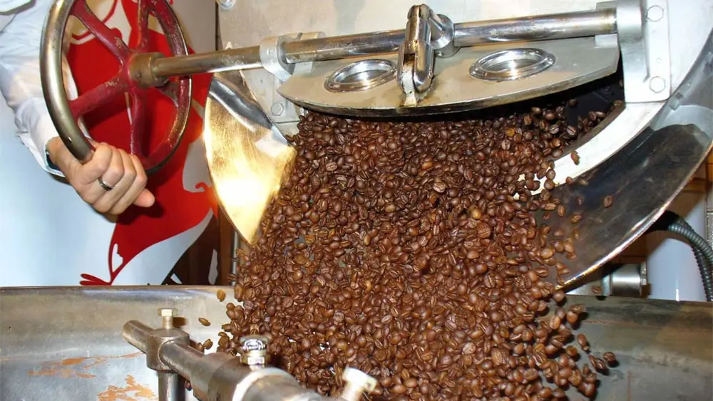 Frisch geröstete Kaffeebohnen im Caffè Martini