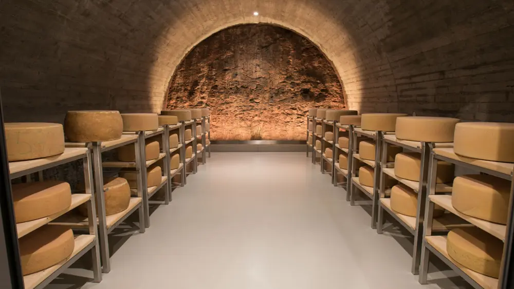 Käse im Reifeprozess