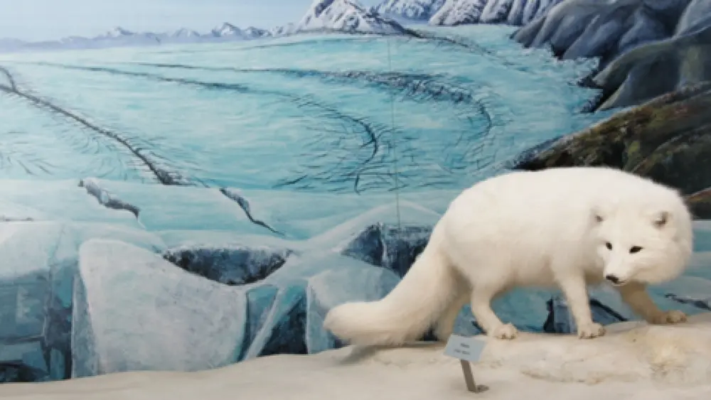 Außenansicht des Bodensee-Naturmuseums im Sea Life Konstanz