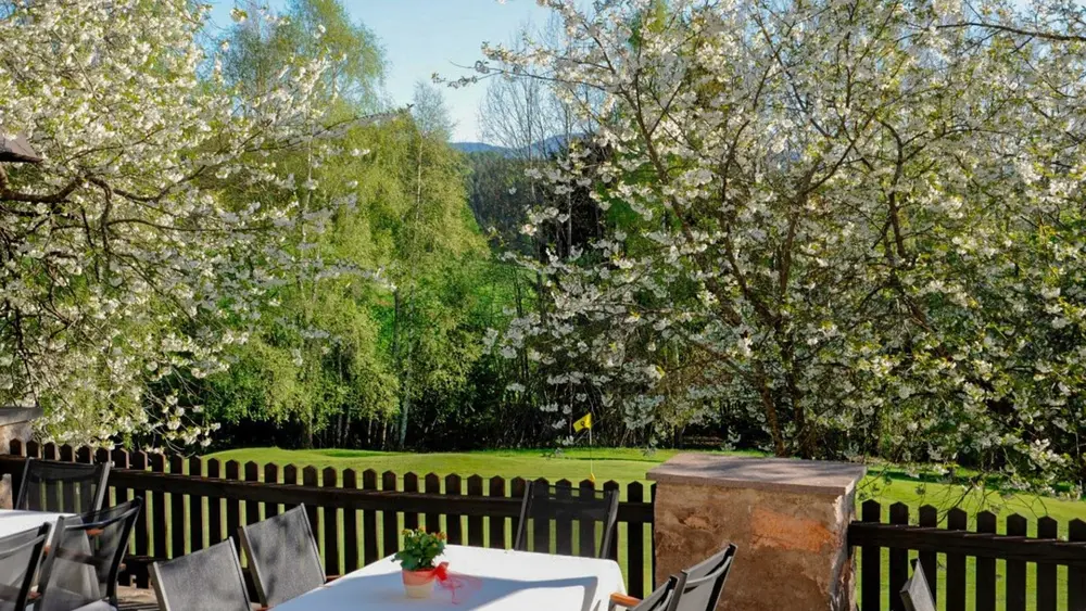 Golf Club Petersberg Terrasse