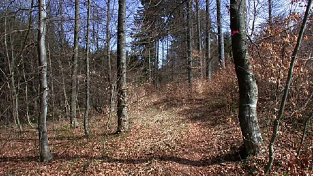 Karstkundlicher Wanderweg