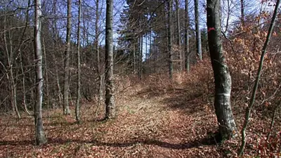 Karstkundliche Wanderweg