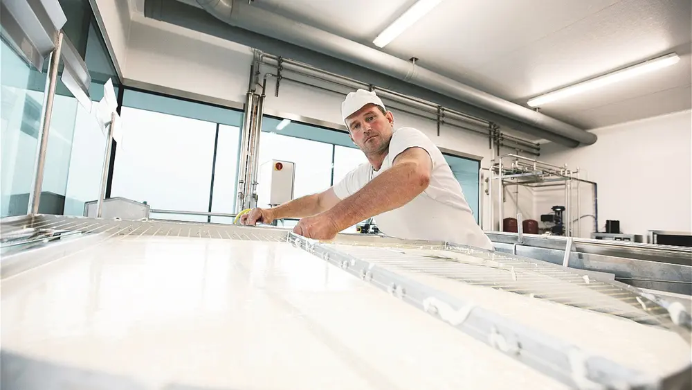 Hier kann man die Herstellung von Käse hautnah miterleben