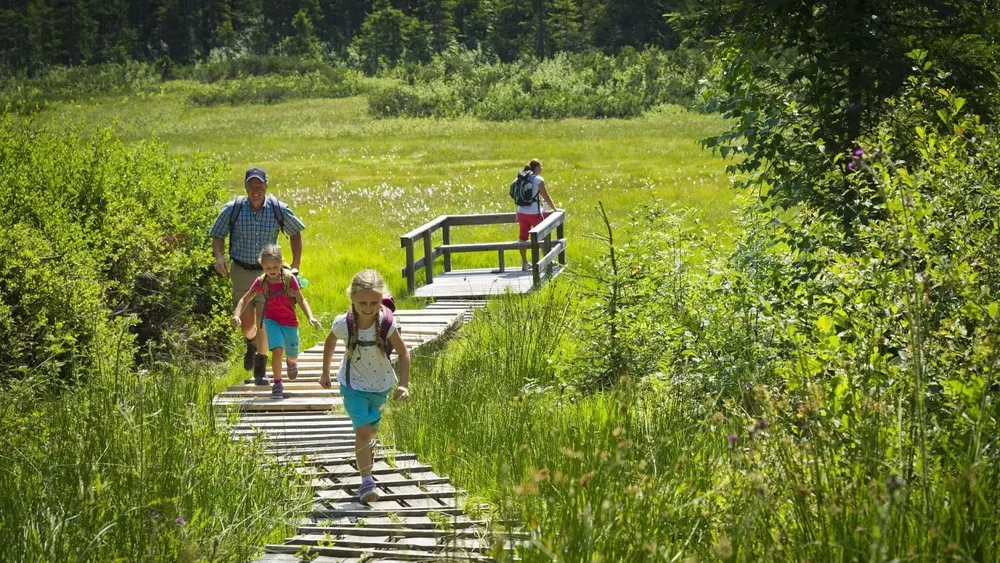 Familie auf einem Steg im Moor & More in der Region St. Johann in Tirol