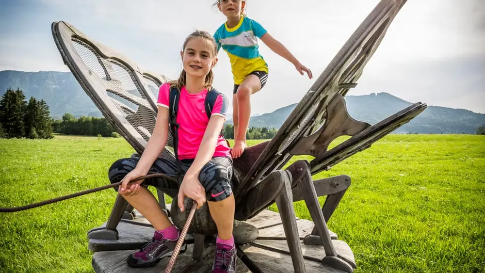 Fliege im Moor-Erlebnis-Pfad