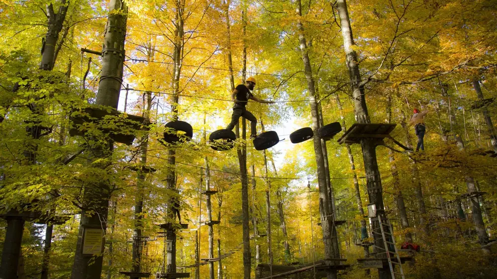 Parcours im Kletterpark Waldheim