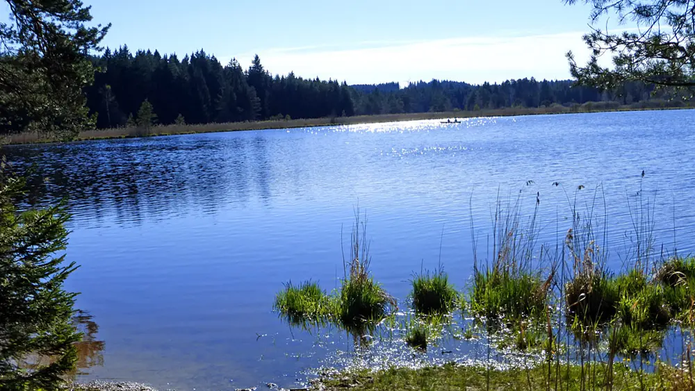 Blick auf den Elbsee bei Kaufbeuren