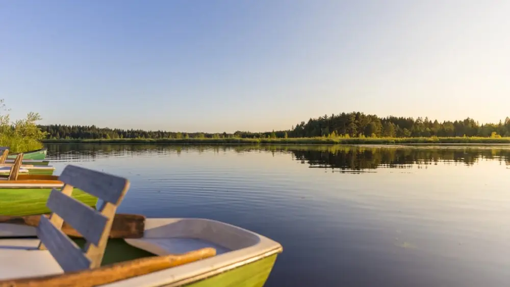 Blick auf den Elbsee
