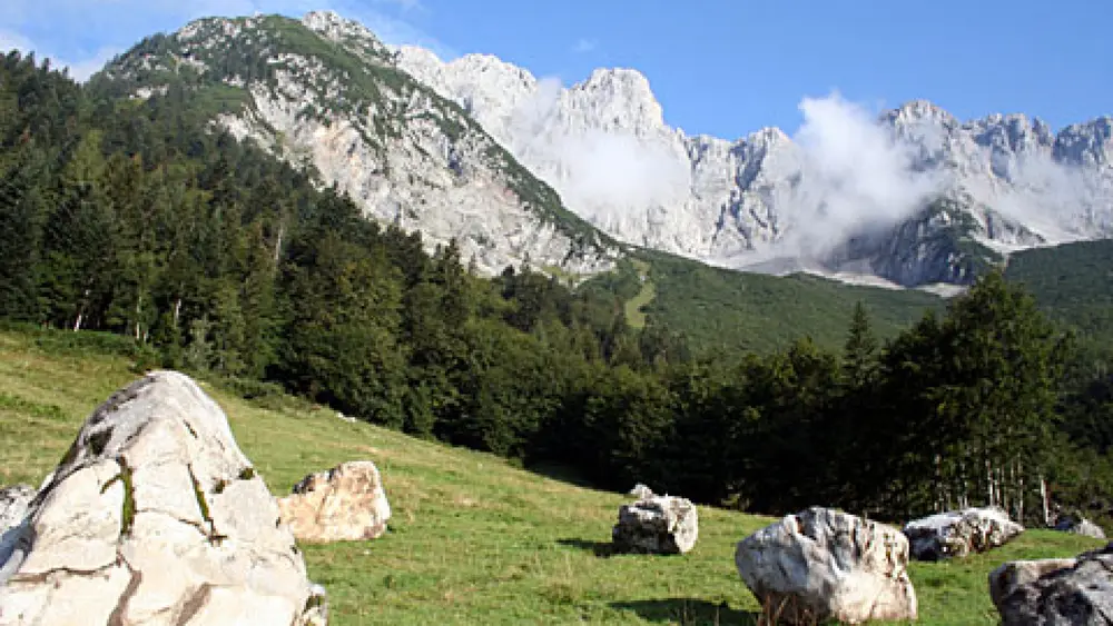 Blick auf die Steine des Ellmauer Steinkreises