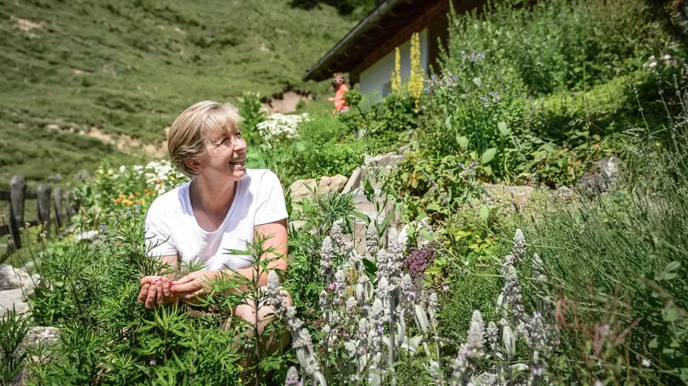 Kräuterwandern am Hochkönig