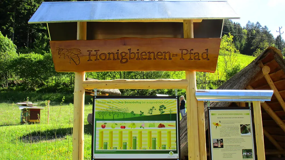 Honigbienenpfad