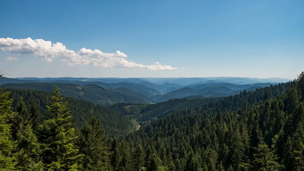 Blick vom Gütschkopf